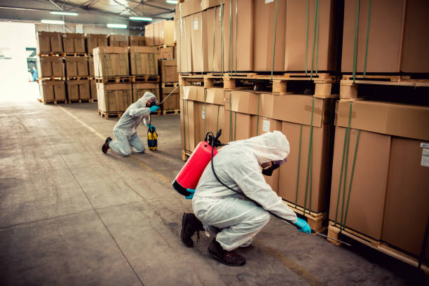 Best Pest Inspection Near Me  in Taylor, MI