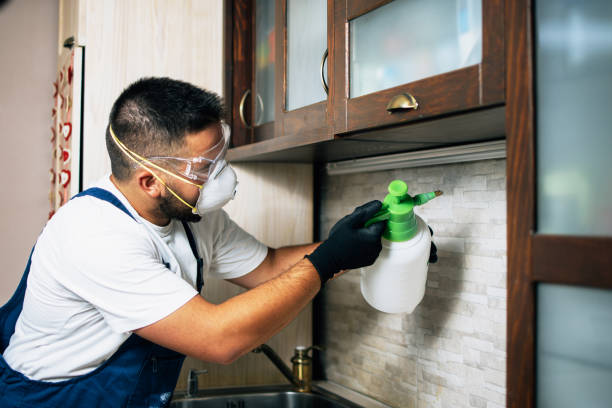 Best Flea Control Services  in Taylor, MI