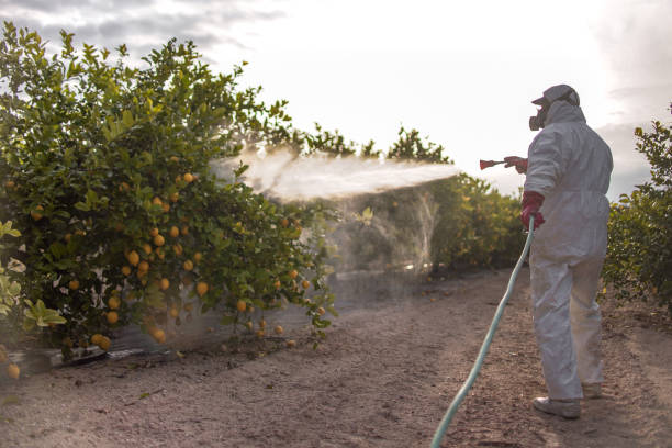 Trusted Taylor, MI Pest Control Experts