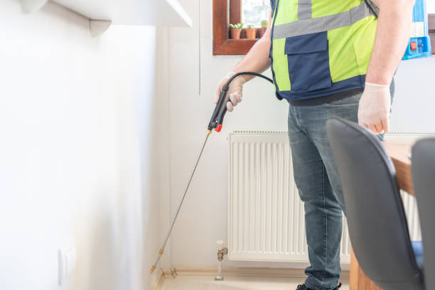Best Ant Control Services  in Taylor, MI
