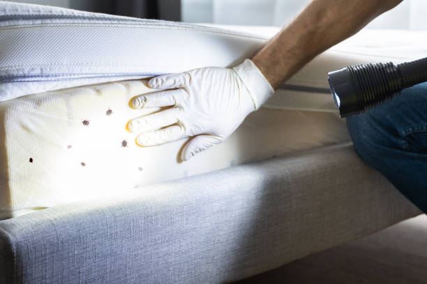 Best Commercial Pest Control Services  in Taylor, MI