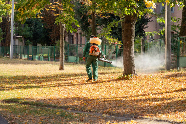 Best Flea Control Services  in Taylor, MI