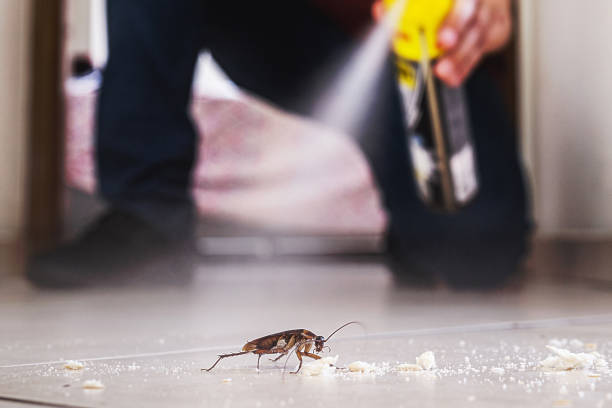 Best Pest Removal Services  in Taylor, MI