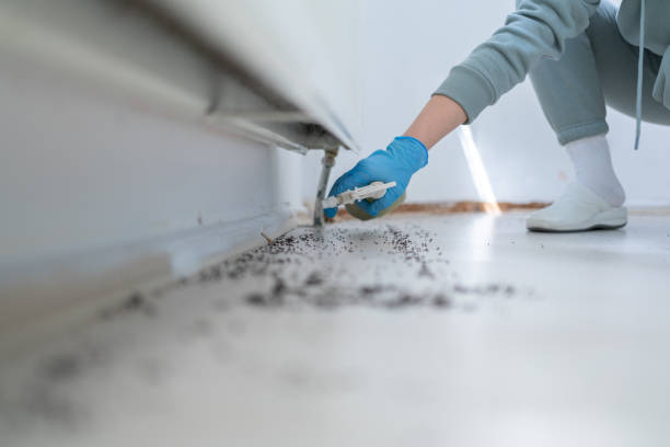 Best Pest Control Near Me in Taylor, MI